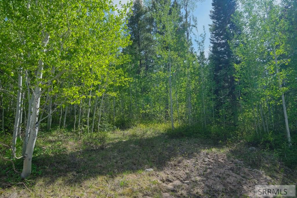 42 Blackfoot Trail, VICTOR, Idaho image 25