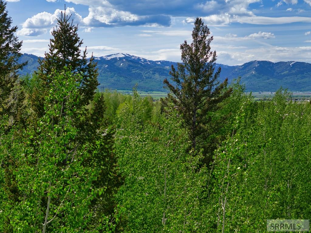 42 Blackfoot Trail, VICTOR, Idaho image 29