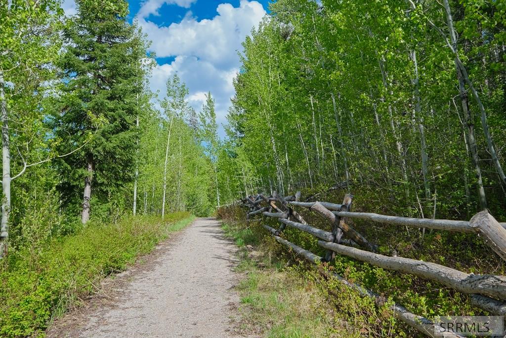 42 Blackfoot Trail, VICTOR, Idaho image 33