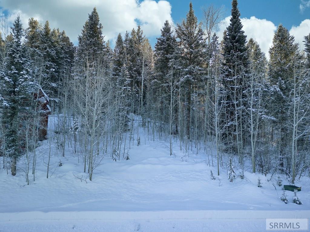 42 Blackfoot Trail, VICTOR, Idaho image 1