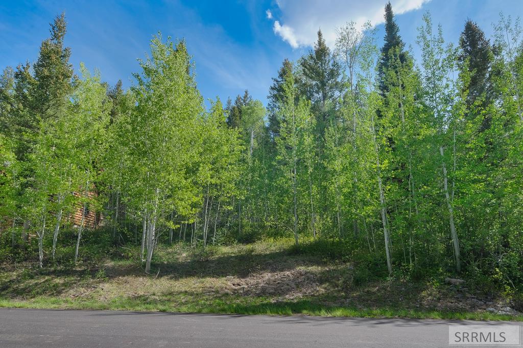 42 Blackfoot Trail, VICTOR, Idaho image 1