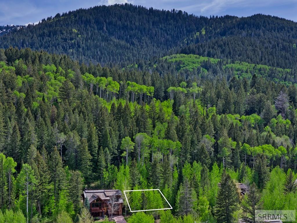 42 Blackfoot Trail, VICTOR, Idaho image 23