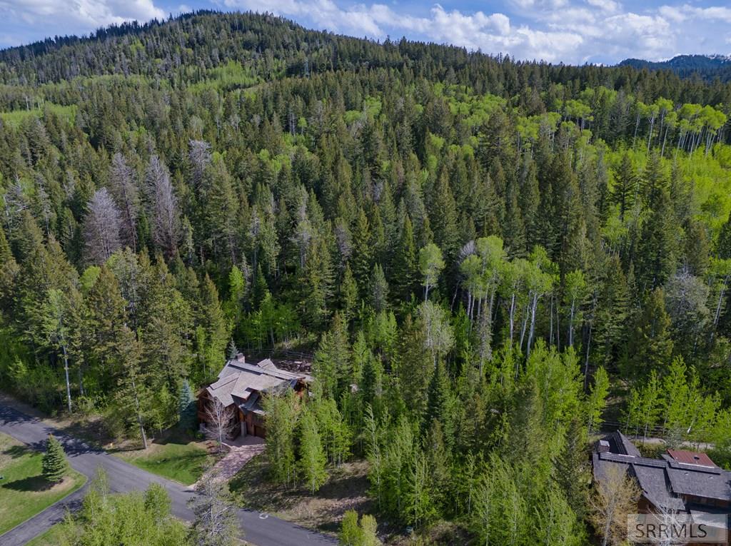42 Blackfoot Trail, VICTOR, Idaho image 12