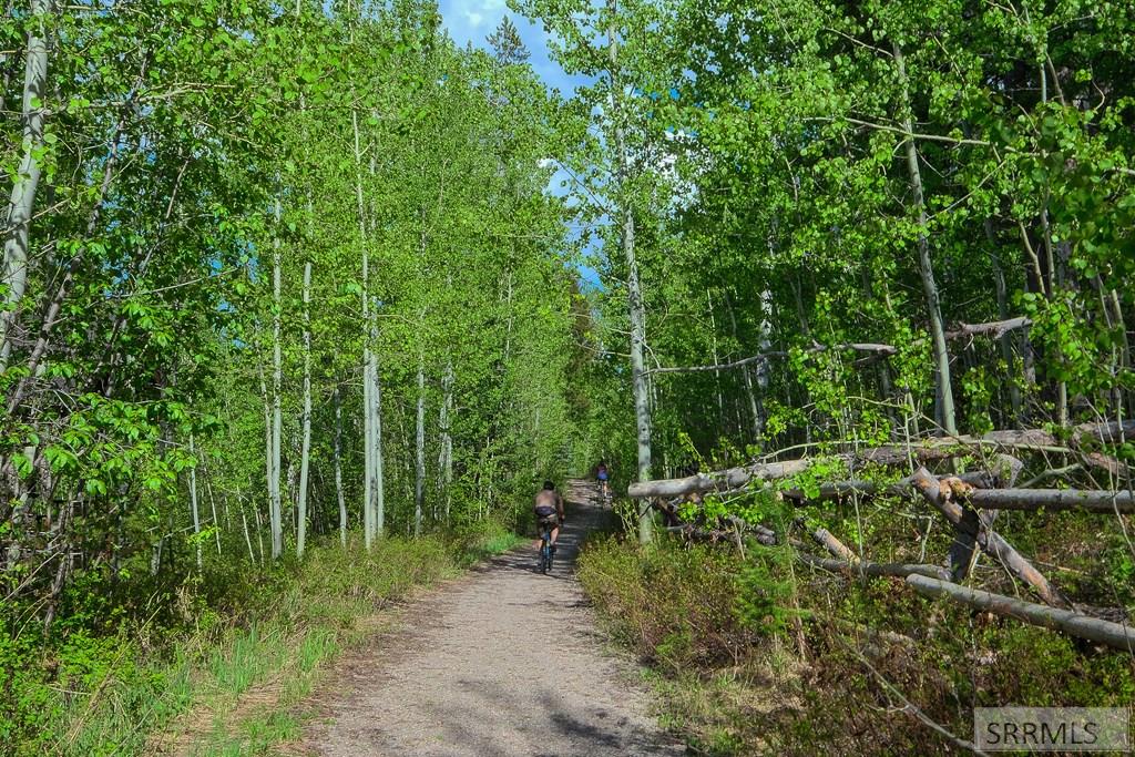 42 Blackfoot Trail, VICTOR, Idaho image 34