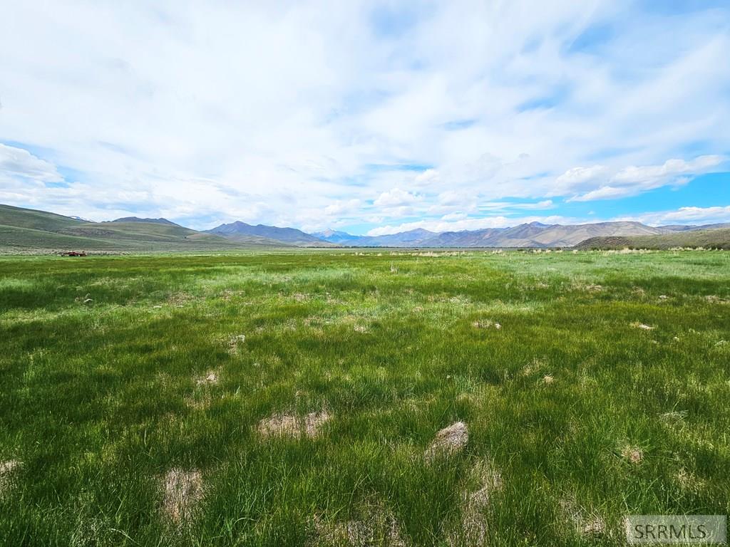 Lot 8 Dry Fork Road, MOORE, Idaho image 7