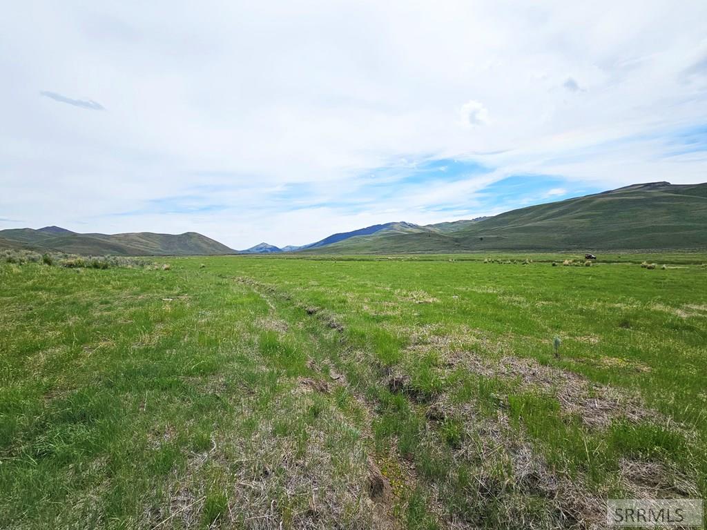 Lot 8 Dry Fork Road, MOORE, Idaho image 10
