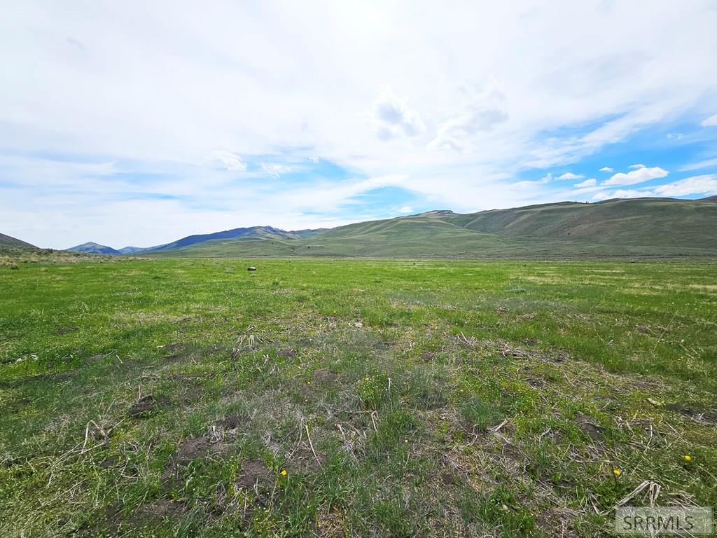 Lot 8 Dry Fork Road, MOORE, Idaho image 9