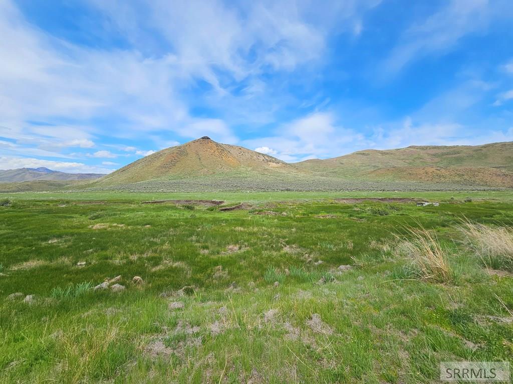 Lot 8 Dry Fork Road, MOORE, Idaho image 11