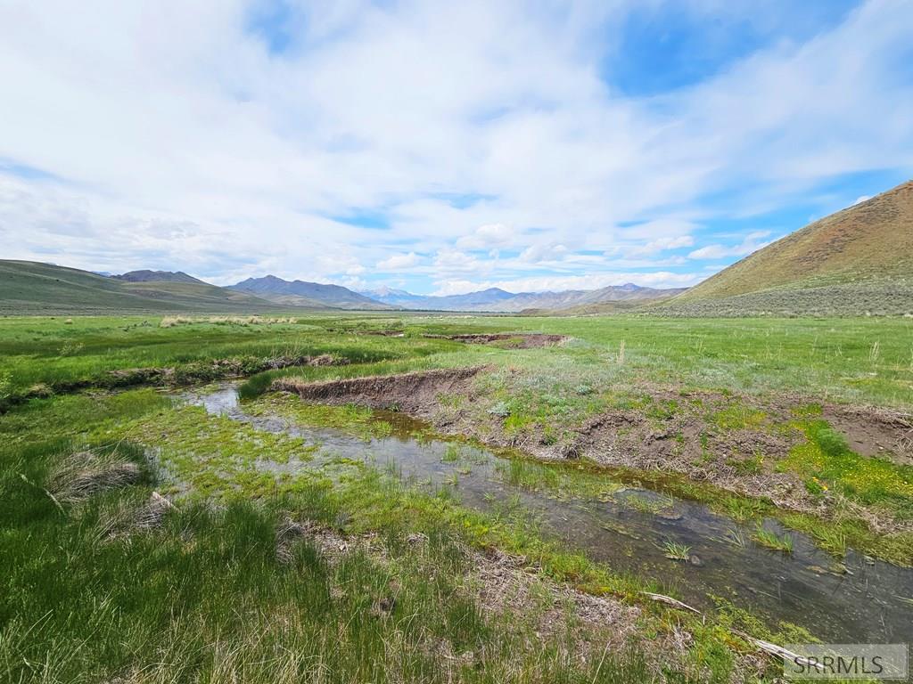 Lot 8 Dry Fork Road, MOORE, Idaho image 2