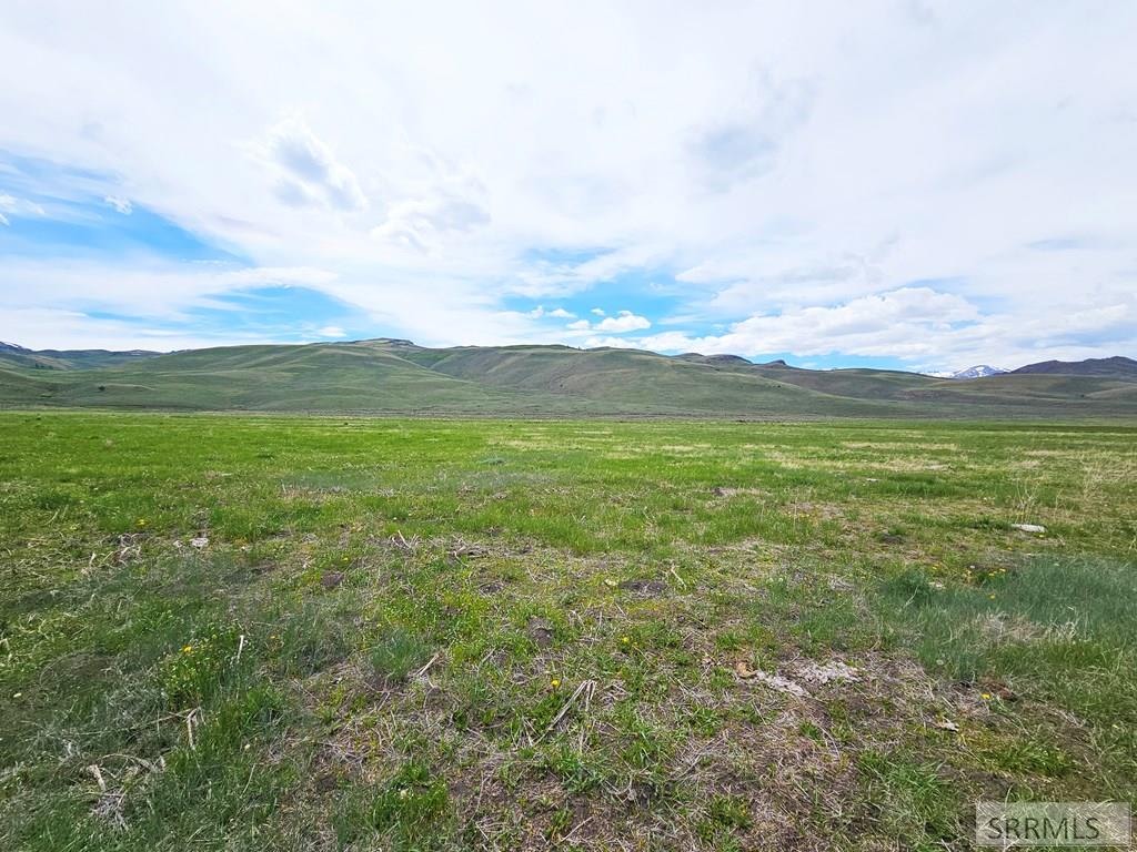 Lot 8 Dry Fork Road, MOORE, Idaho image 8