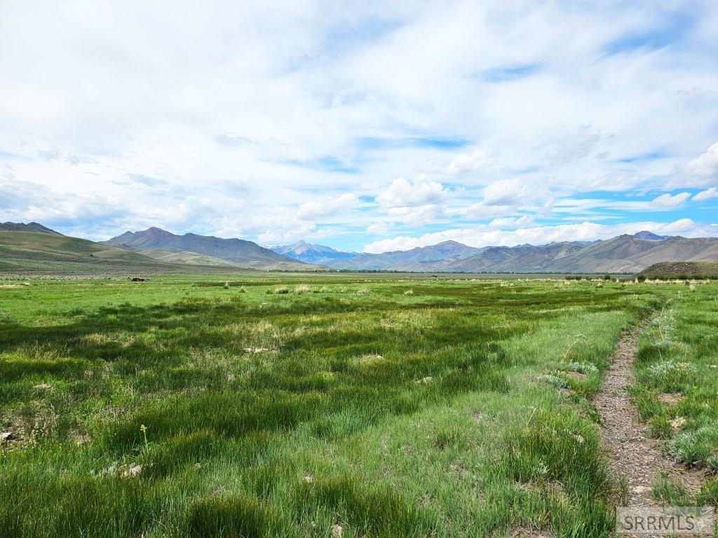 Lot 8 Dry Fork Road, MOORE, Idaho image 12