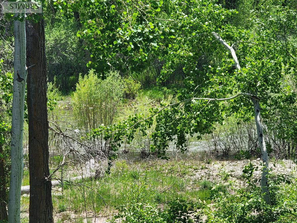 125 Cobblecreek Lane #75, DRIGGS, Idaho image 44