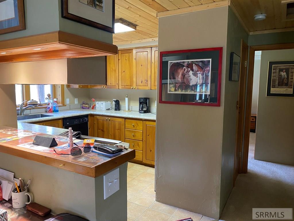 385 River Front Lane, CLAYTON, Idaho image 17