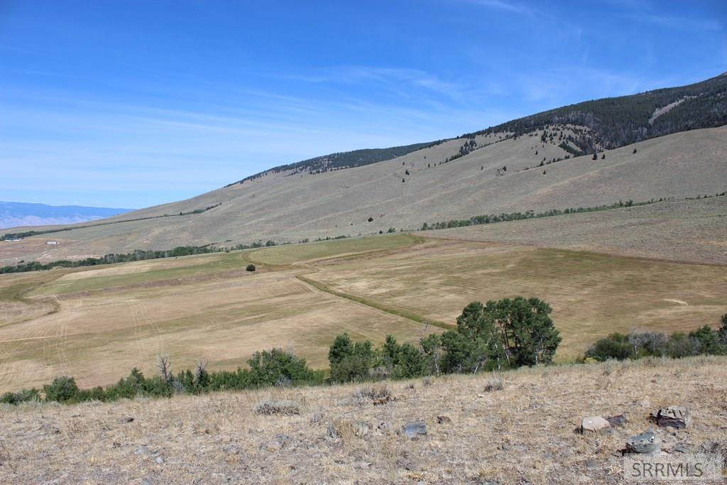 TBD E Sandy Creek Road, SALMON, Idaho image 7