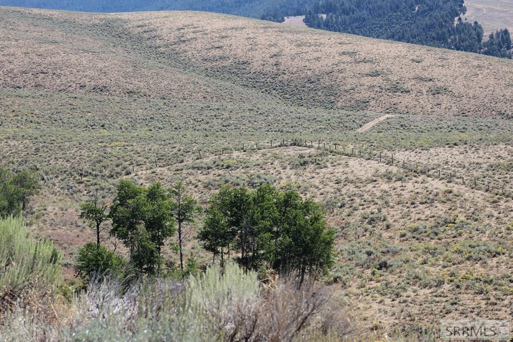 TBD E Sandy Creek Road, SALMON, Idaho image 9