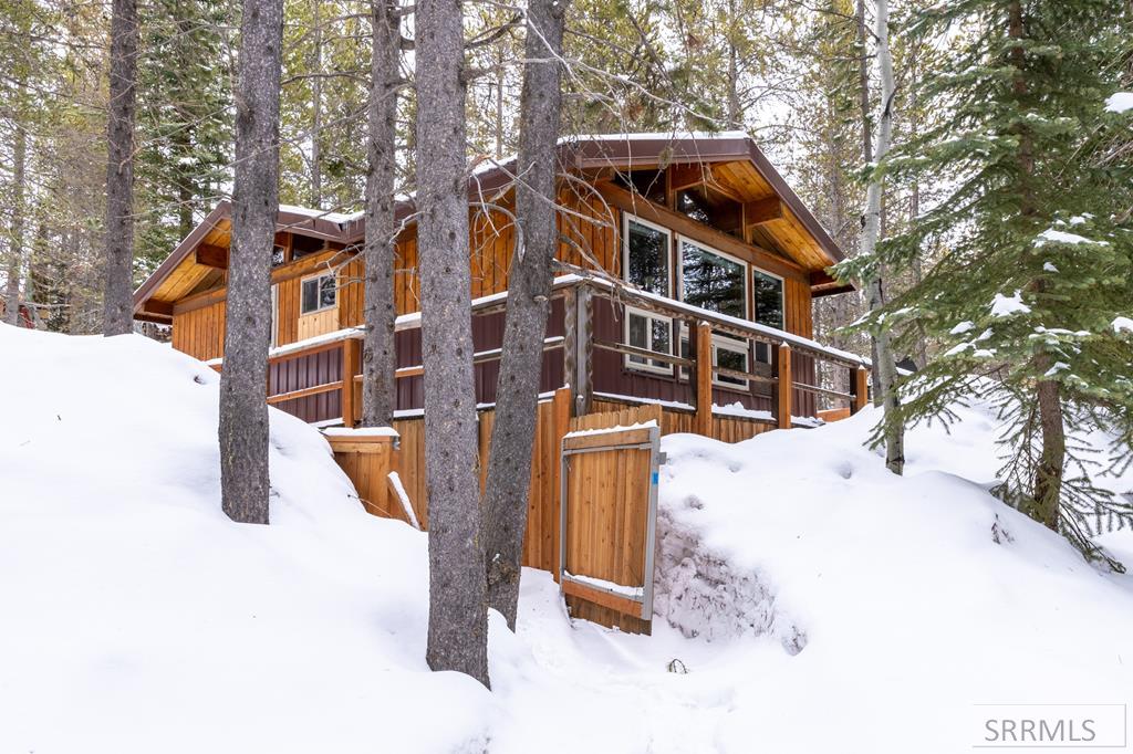 4127 Big Springs Loop Road, ISLAND PARK, Idaho image 1