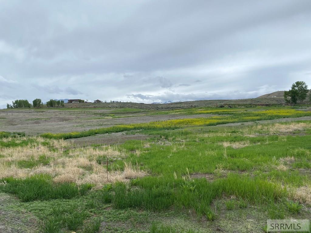 Lot 3 Stephens Gulch, CHALLIS, Idaho image 8