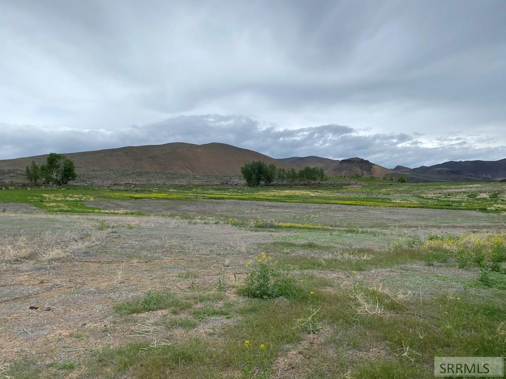 Lot 3 Stephens Gulch, CHALLIS, Idaho image 9