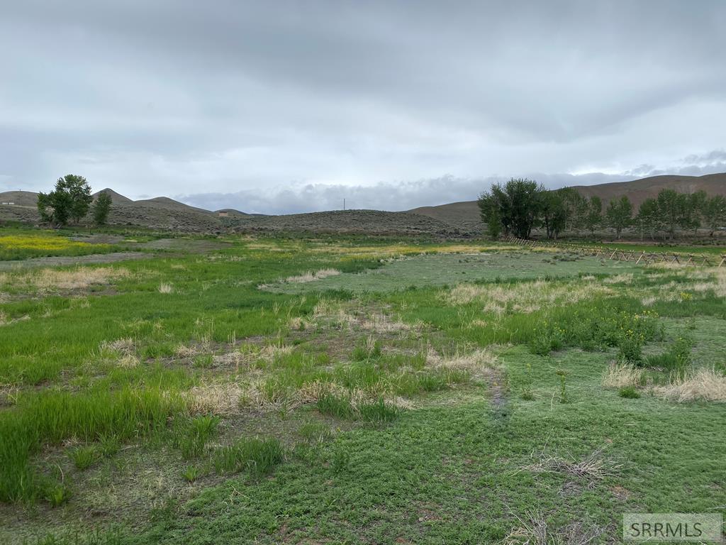 Lot 3 Stephens Gulch, CHALLIS, Idaho image 3