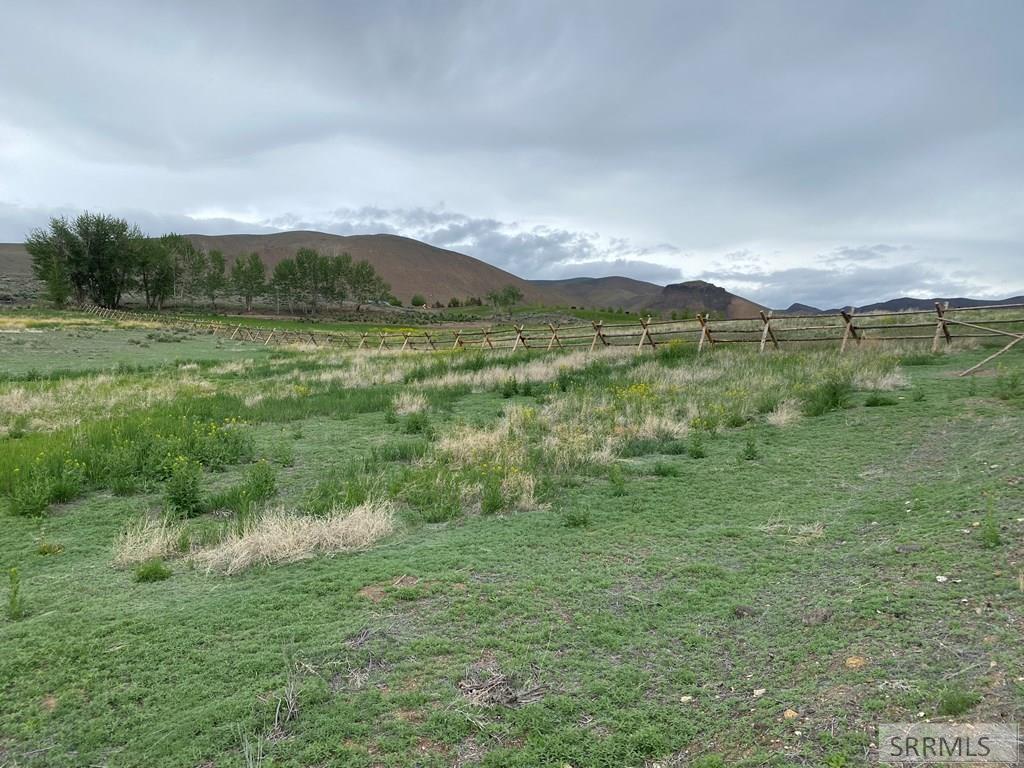 Lot 3 Stephens Gulch, CHALLIS, Idaho image 10