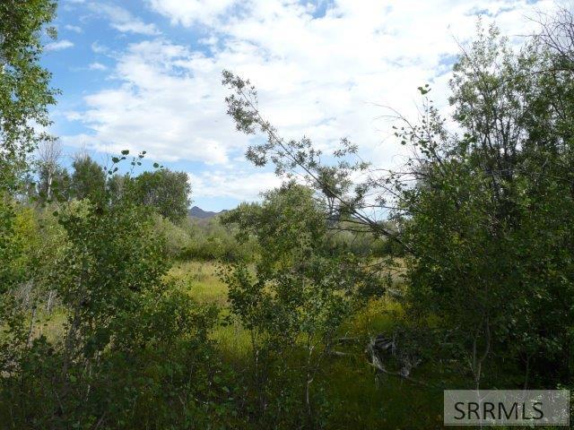 HES 503 Antelope Creek Road, MOORE, Idaho image 16