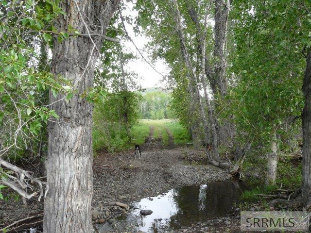 HES 503 Antelope Creek Road, MOORE, Idaho image 15