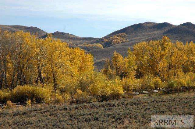 HES 503 Antelope Creek Road, MOORE, Idaho image 45