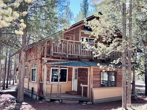 Photo of 4066 Yale Creek Road, ISLAND PARK, ID 83429 (MLS # 2186171)