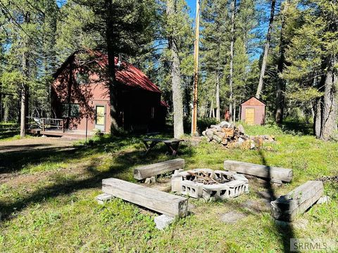 Homes For Sale - 4159 Wooded Lane<br/> Fremont County, ISLAND PARK, ID 83429