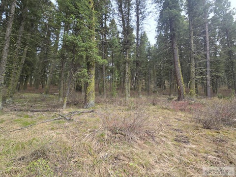 Vacant Land For Sale - 3548 Aspen Drive<br/> ISLAND PARK, ID 83429