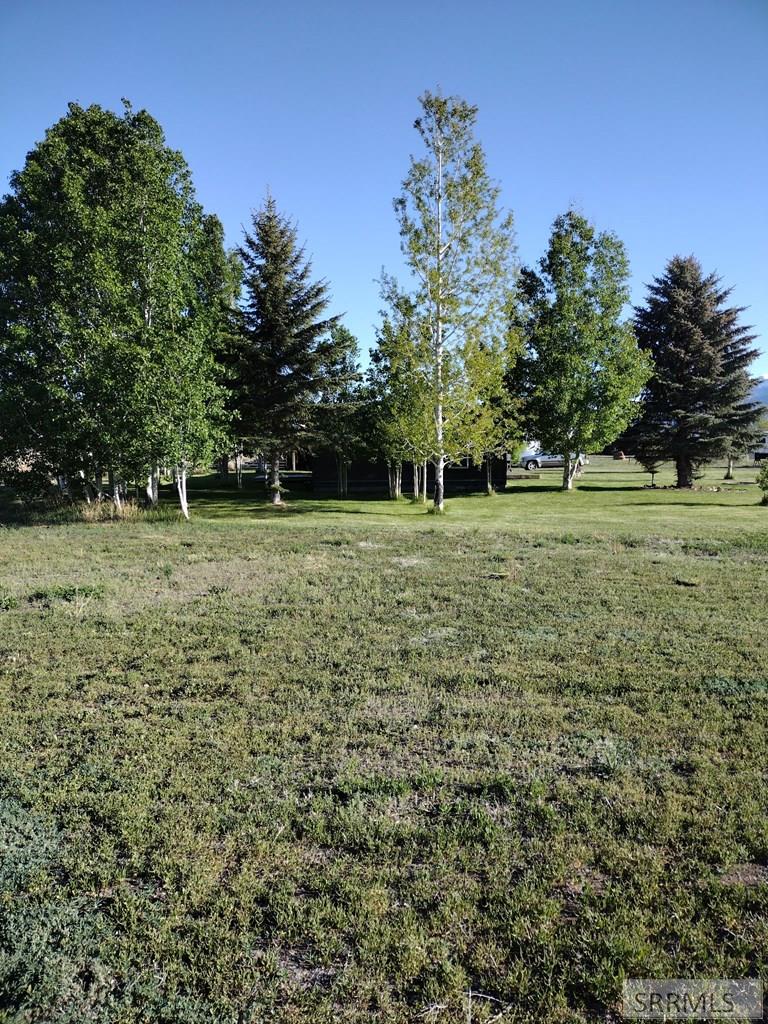 3195 N 3350 W, MOORE, Idaho image 22