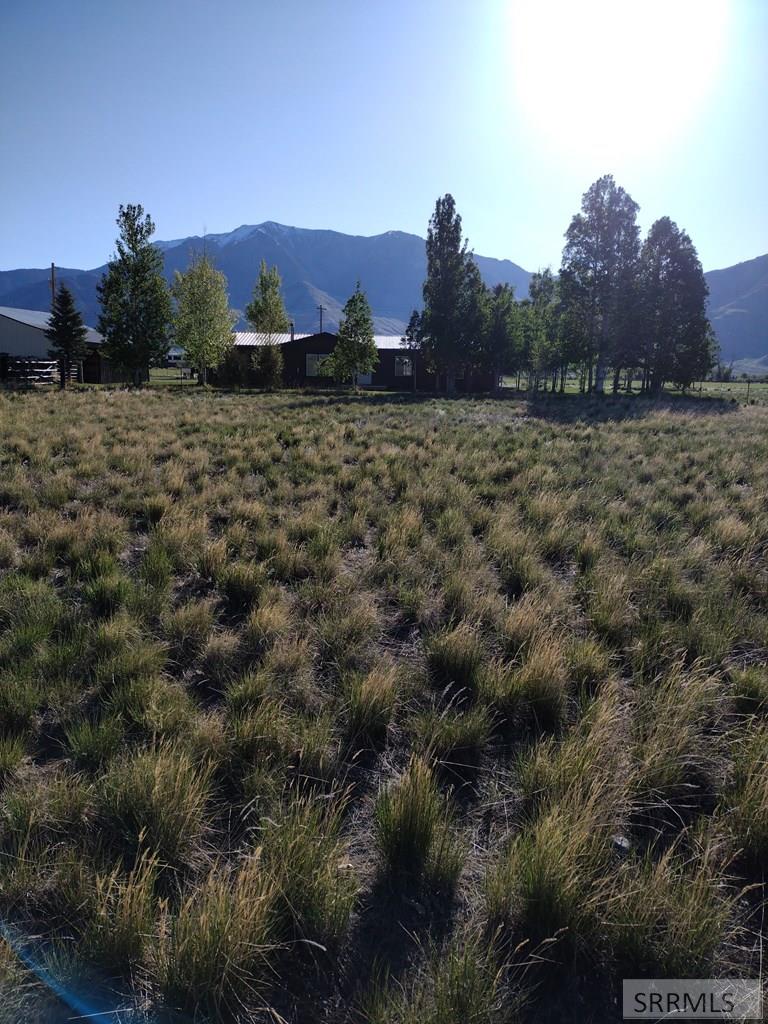 3195 N 3350 W, MOORE, Idaho image 3