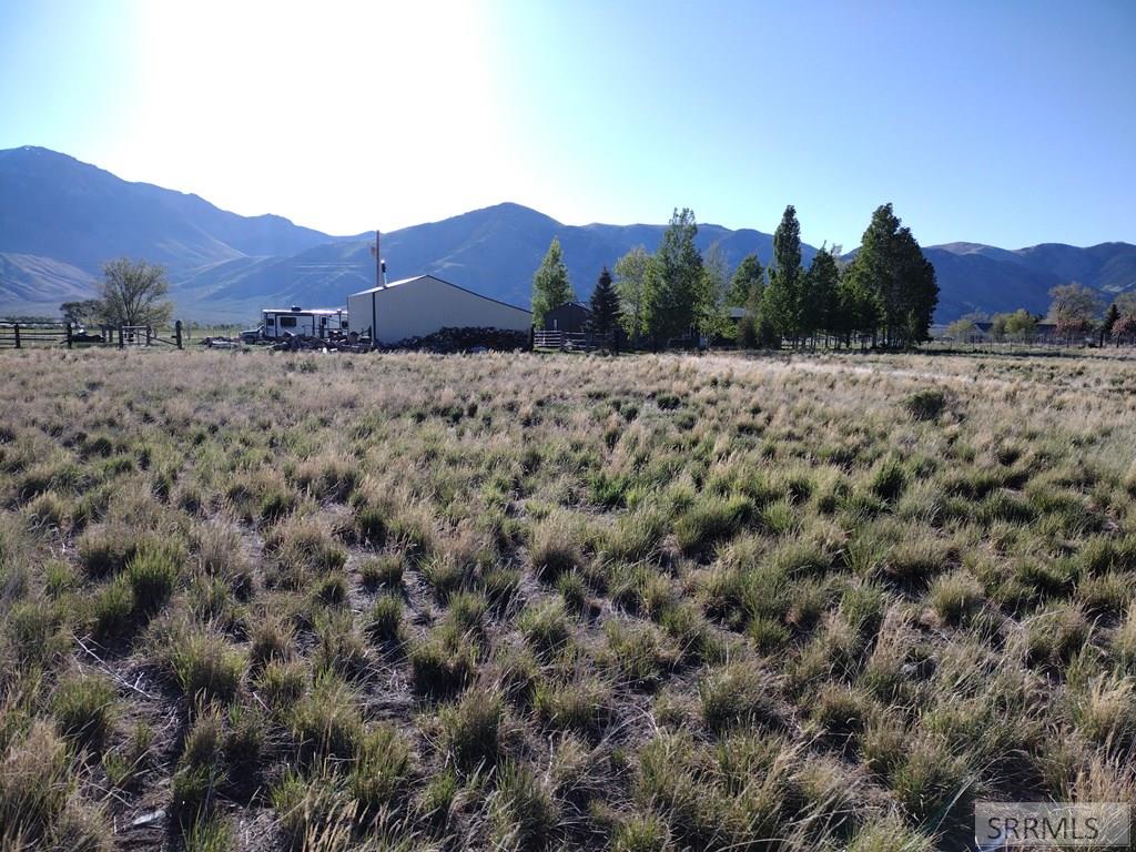 3195 N 3350 W, MOORE, Idaho image 28