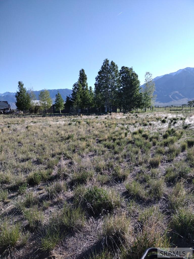 3195 N 3350 W, MOORE, Idaho image 26