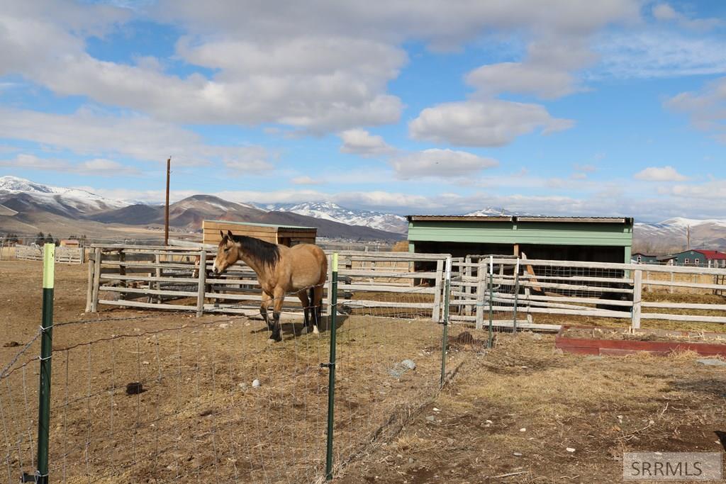 504 Bluebird Lane, CHALLIS, Idaho image 35
