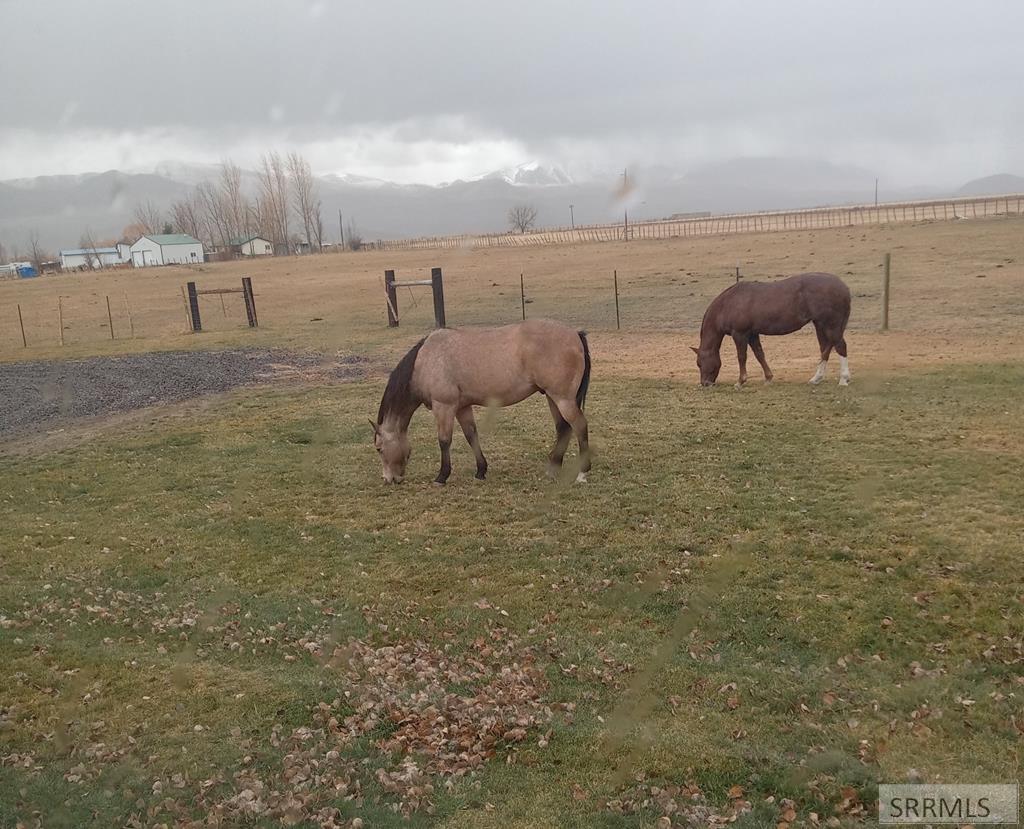 504 Bluebird Lane, CHALLIS, Idaho image 42