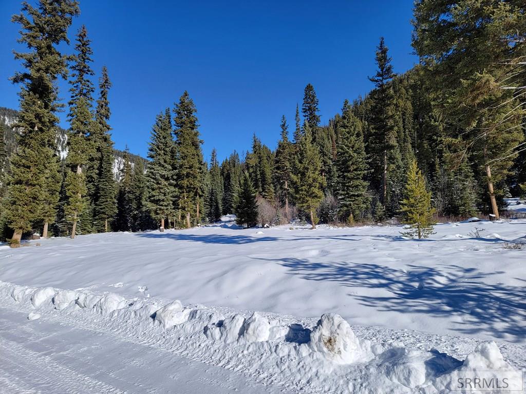 5A Kokopelli Drive, GIBBONSVILLE, Idaho image 8