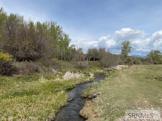 TBD Truth Drive, SALMON, Idaho image 9
