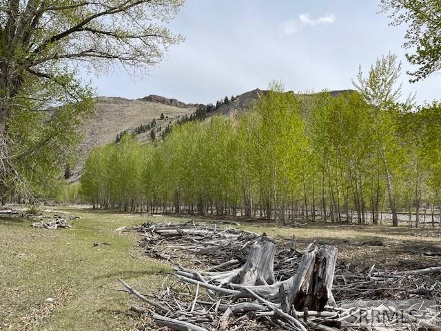 TBD Truth Drive, SALMON, Idaho image 31