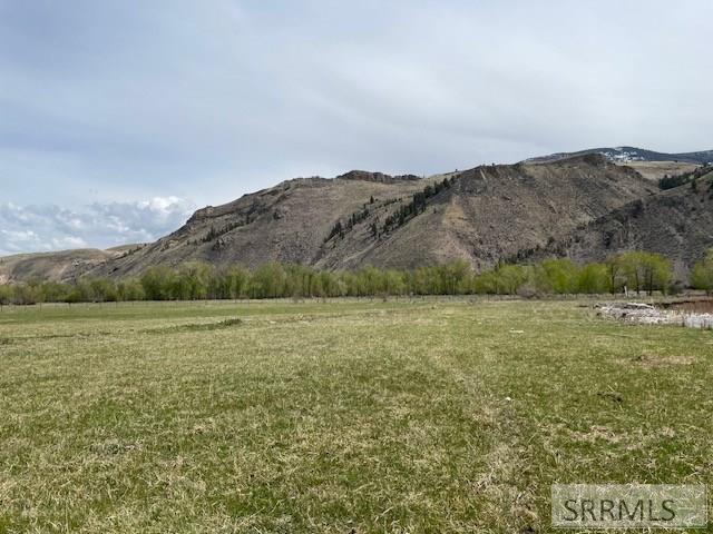 TBD Truth Drive, SALMON, Idaho image 20
