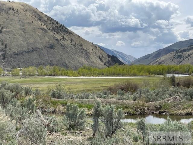 TBD Truth Drive, SALMON, Idaho image 3