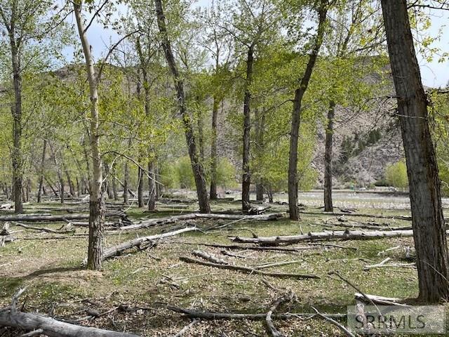 TBD Truth Drive, SALMON, Idaho image 30