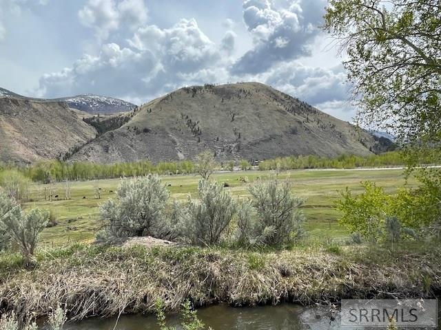 TBD Truth Drive, SALMON, Idaho image 6