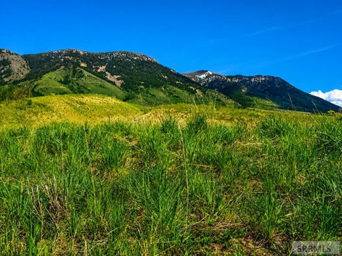 Vacant Land For Sale - 1355 Grey Fox Loop<br/> INKOM, ID 83245