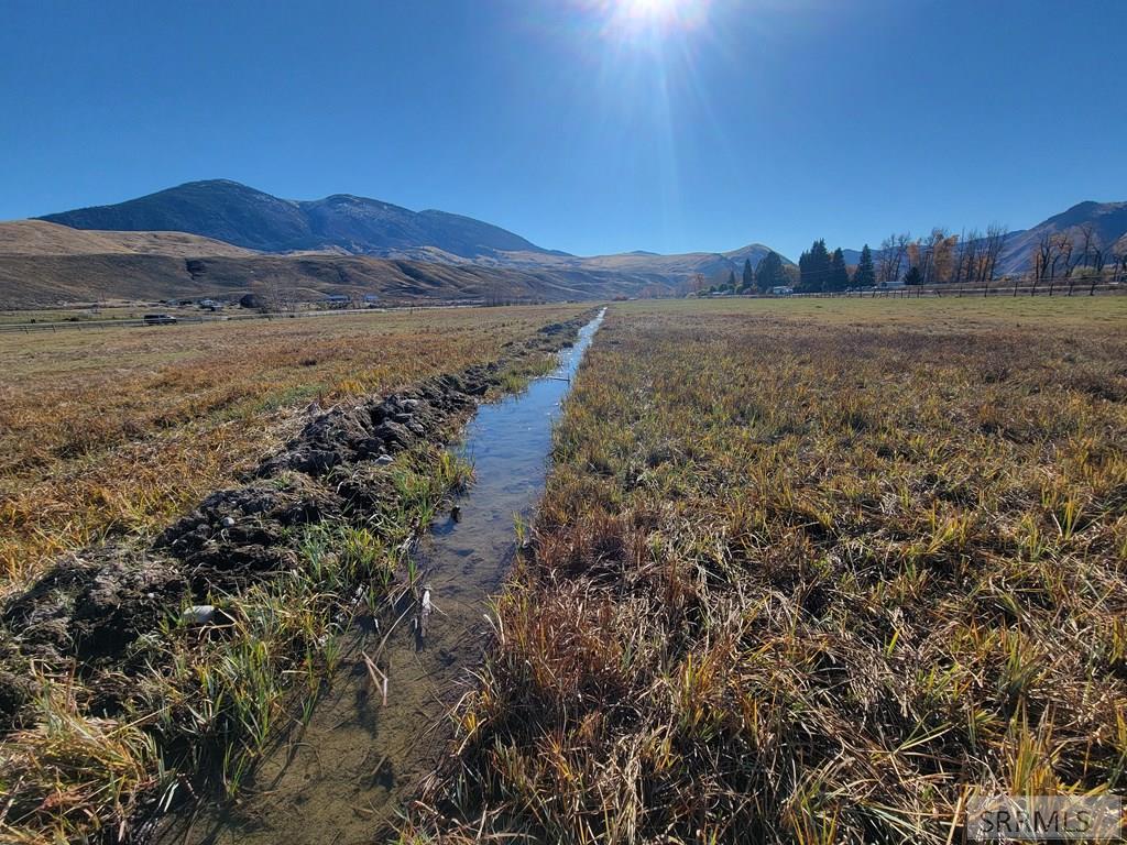 Lot 20 Golden Leaf Lane, SALMON, Idaho image 6