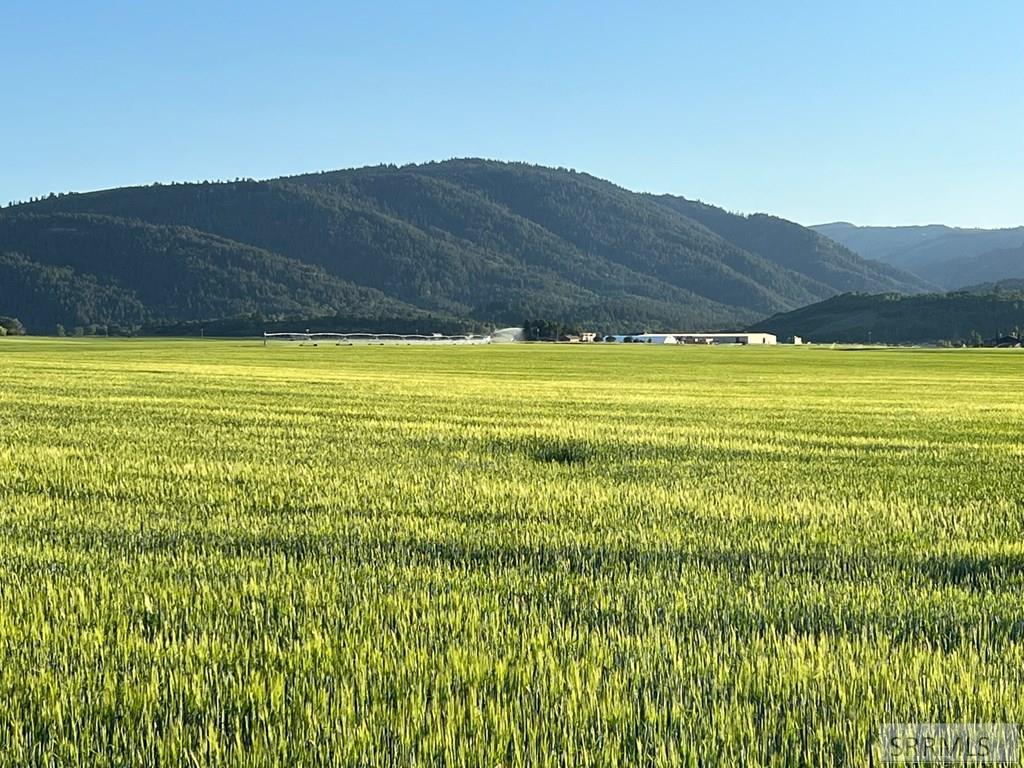 2500 S 4500 W, DRIGGS, Idaho image 4