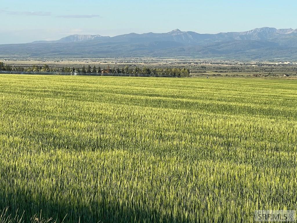 2500 S 4500 W, DRIGGS, Idaho image 8
