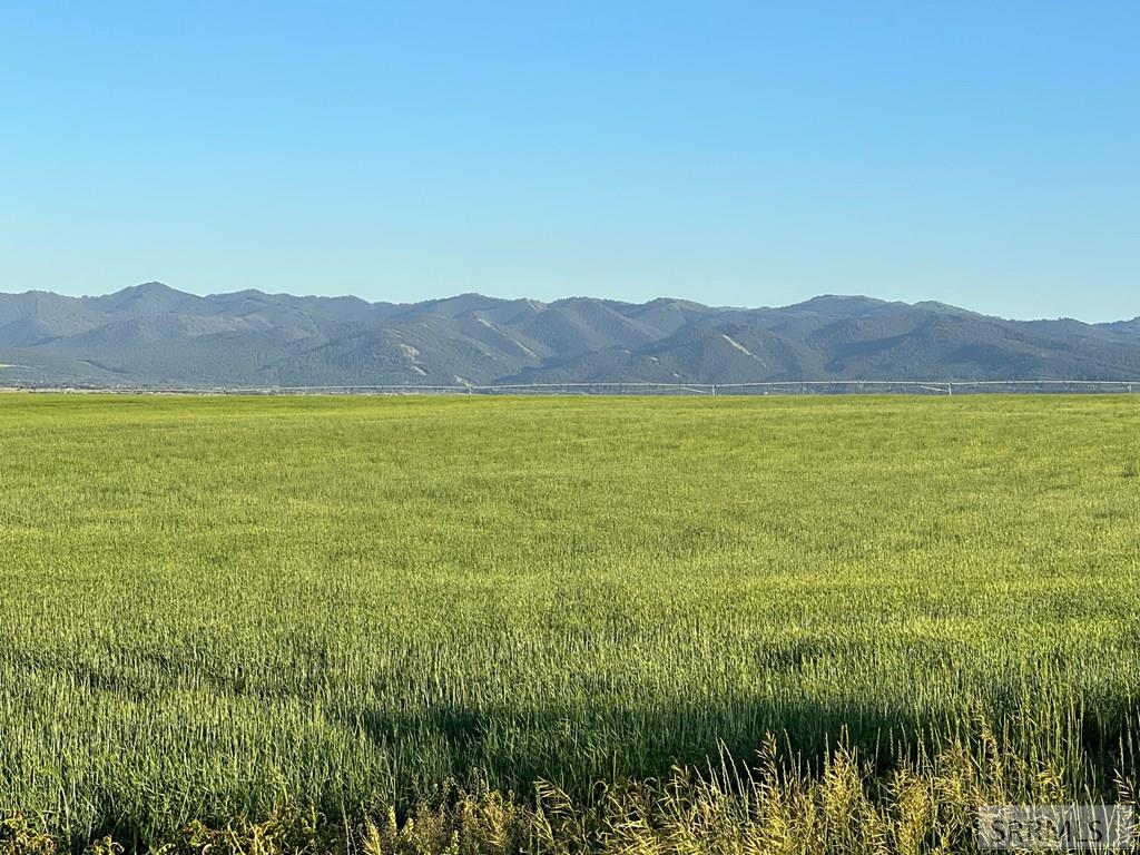 2500 S 4500 W, DRIGGS, Idaho image 13