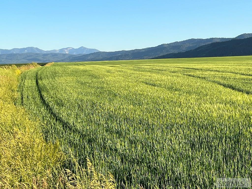 2500 S 4500 W, DRIGGS, Idaho image 6