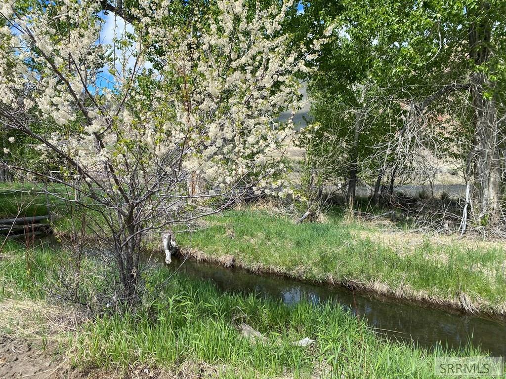 Lot 6 7 Rivers Edge Rd, CHALLIS, Idaho image 4